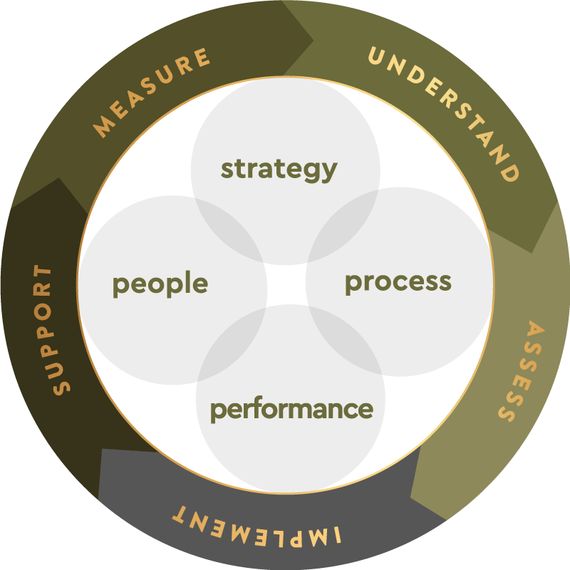 Strategy, people, process, and performance, surrounded by a cycle of measure, understand, assess, implement, and support.